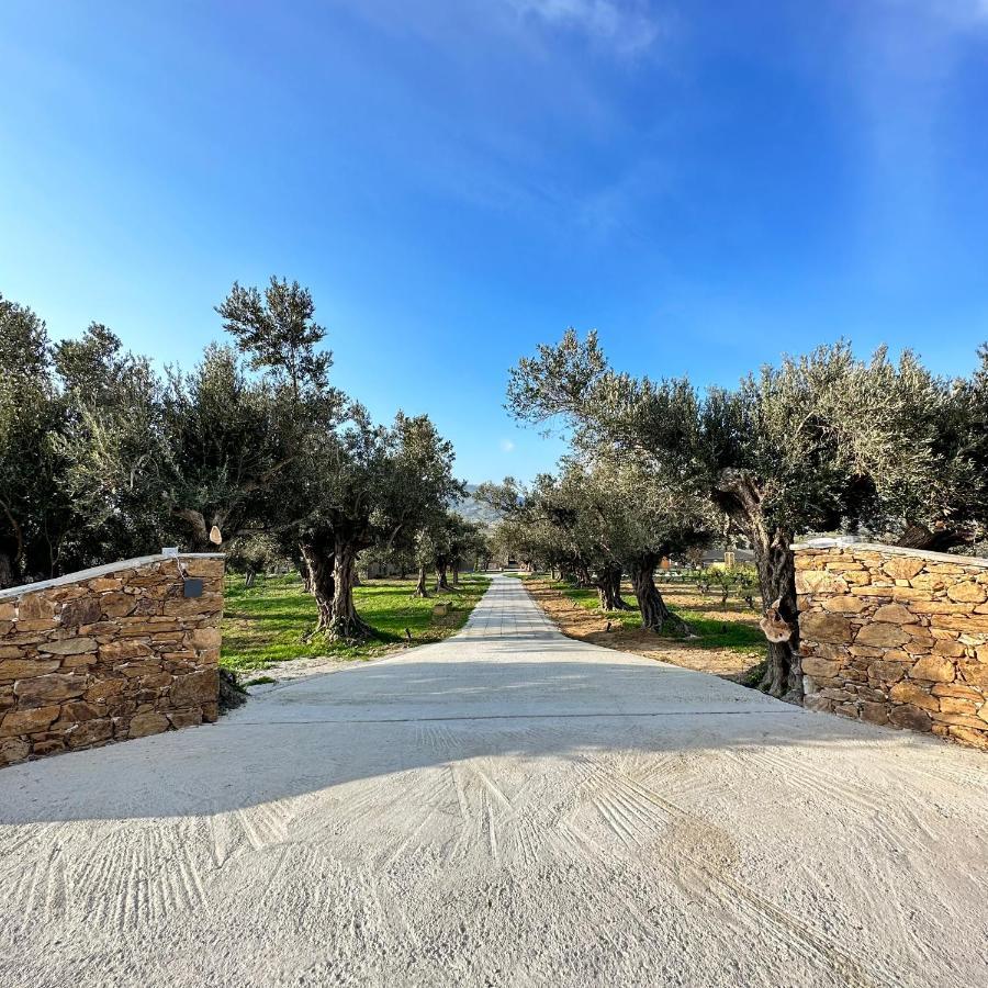 Peristerionas Estate Karystos (Evia)